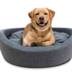 Fluffy Paw Dog Bed- Large