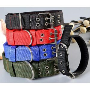 dog collars-5cm