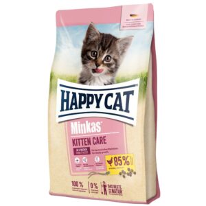 happy cat kitten care